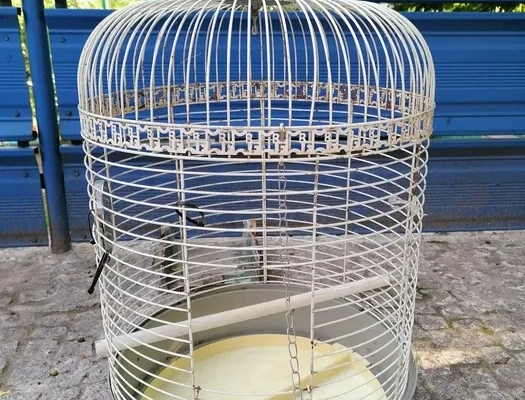 Bird cage