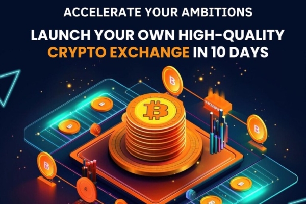 Develop Your Crypto Exchange Software at low Cost from hivelance