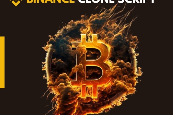 How to find the best affordable Binance clone script for your crypto exchange business?