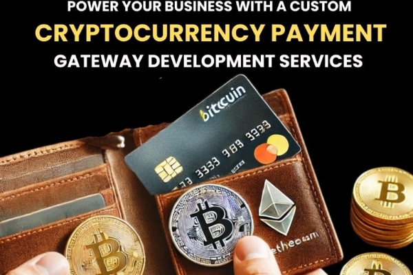 Cryptocurrency Payment Gateway Development Company