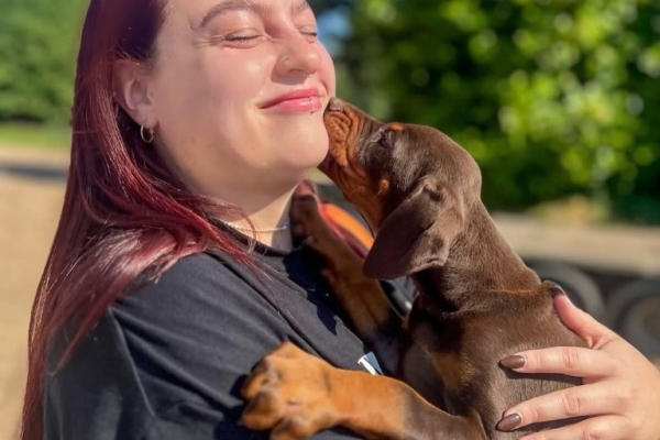 KC registered Doberman Pinscher puppies