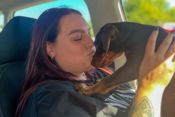 KC registered Doberman Pinscher puppies