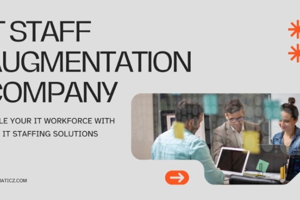 IT Staff Augmentation Company
