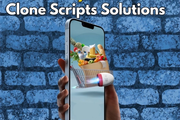 Affordable, Reliable, and Robust: Ready-Made Clone Scripts for You