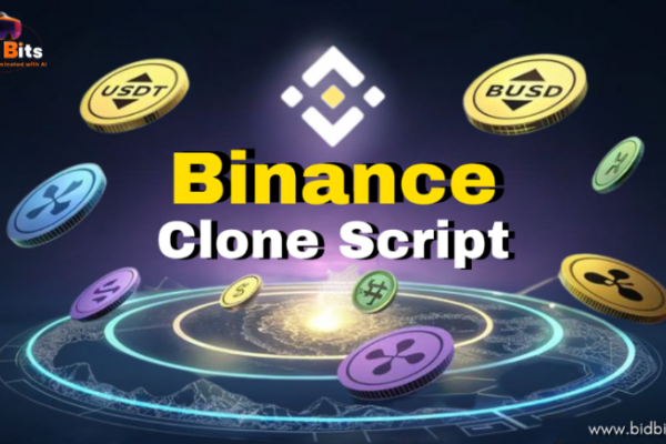 Best Binance clone Script Provider in USA