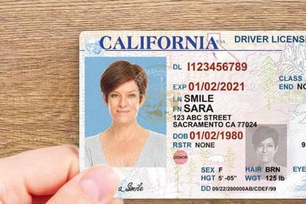 Id/Passport/License/Visa/Diploma/Certificates/TOEFL/IELTS