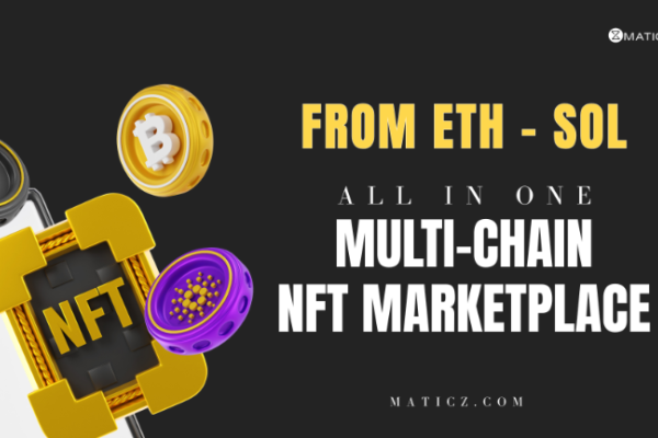 Build a Multi-Chain NFT Marketplace With Maticz