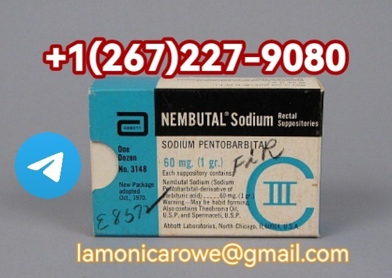 +15673430615.Buy Sodium Pentobarbital Injection In UK
