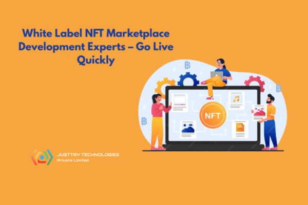 White Label NFT Marketplace Development Experts – Go Live Quickly