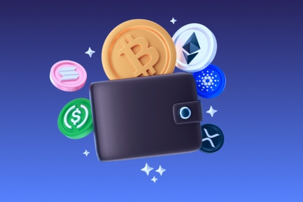 Launch your Branded Crypto Wallet - A Complete Development Solution by Maticz