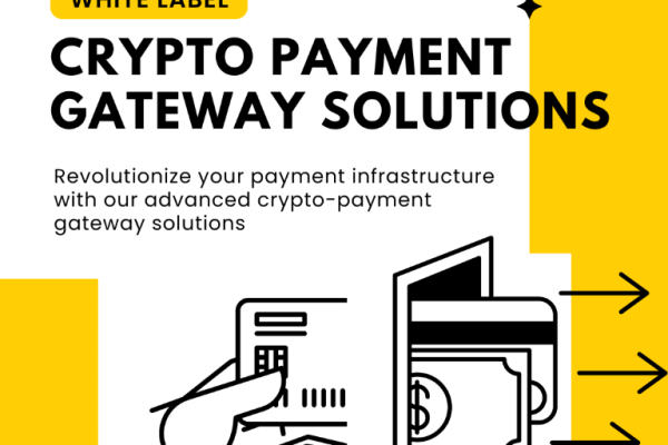Crypto Payment Gateway Development Company - Maticz