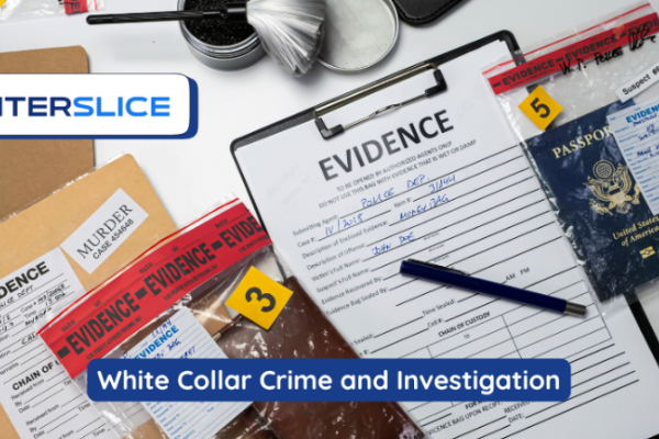 White Collar Crime and Investigation Services – Enterslice