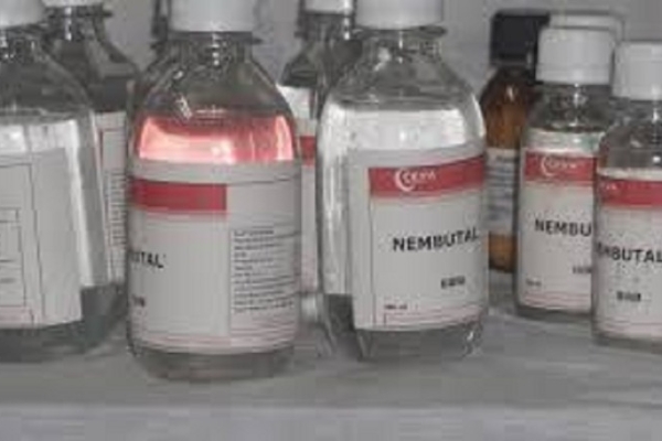 Nembutal, promethazine hydrochloride syrup, fentanyl, percocet, klonopin