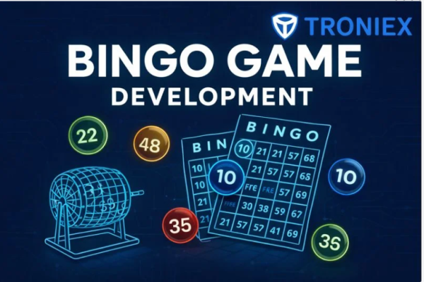 Custom Multiplayer Bingo Game Development Services for Gaming Brands