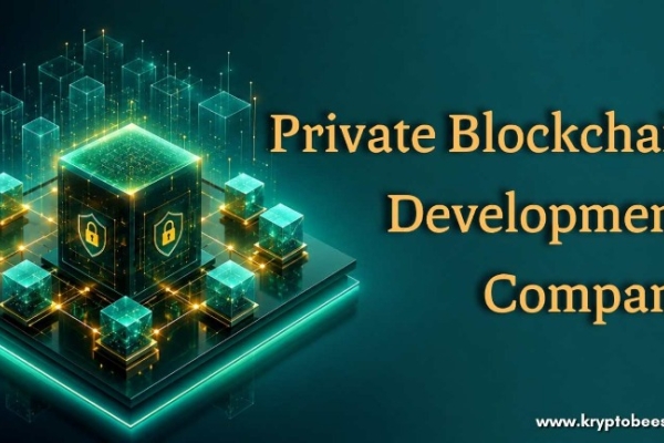 Powerful Private Blockchain Development Solution for Businesses
