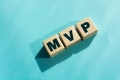 LAUNCH YOUR VISION SMART & FAST! MVP Development by Maticz