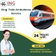 King Train Ambulance Service in Nagpur provides the facility to your patient