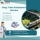 King Train Ambulance Service in Nagpur transports your patient to their destination