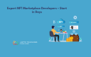 Expert NFT Marketplace Developers – Start in Days
