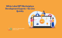 White Label NFT Marketplace Development Experts – Go Live Quickly