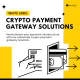 Crypto Payment Gateway Development Company - Maticz
