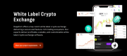 Launch Your Own White Label Crypto Exchange with Dappfort