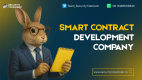 Get Expert Smart Contract Development – Power Your DeFi, ICO & NFT Projects