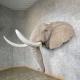 African Elephant Replica Taxidermy Shoulder Mount for Sale .