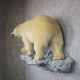 Polar Bear Life‑Size Taxidermy Mount for Sale .