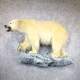 Polar Bear Life‑Size Taxidermy Mount for Sale .
