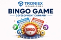Trusted Bingo Game Development Company
