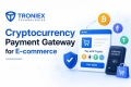 "Custom Crypto Payment Gateway for E-commerce