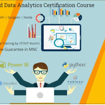 Data Analyst Course in Delhi.110021. Best Online Data Analytics Training in Srinagar by IIT Expert [ 100% Job in MNC]