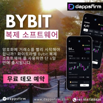 Bybit 클론 스크립트로 혁신적인 암호화폐 거래소 구축