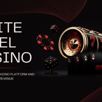 White label online casino solution