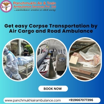 Panchmukhi Helps Carry the Load of a Dead Body in Vellore in an Ambulance
