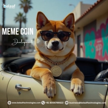Top Reasons Why Custom Meme Coins Are the Future of Crypto Investing- Beleaf Technologies