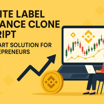 White Label Binance Clone Script: A Smart Solution for Entrepreneurs