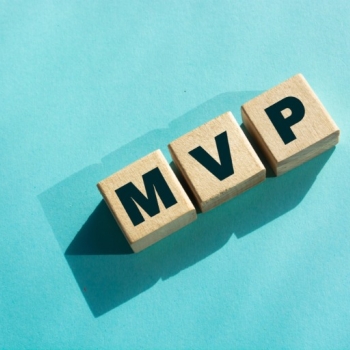 LAUNCH YOUR VISION SMART & FAST! MVP Development by Maticz