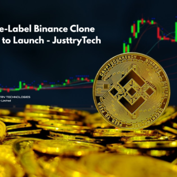 White-Label Binance Clone Ready to Launch - JusttryTech