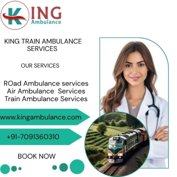 Choose Now King Train Ambulance Service in Pune to Shift Your Patient