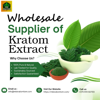 Buy the Cheapest Kratom Extract in Wholesale at MB Kratomtom