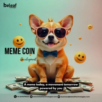 Best Platforms to Launch Your Meme Coin in 2025 - Beleaf Technologies