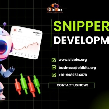 Launch Your Own Crypto Sniper Bot – Custom Development for Businesses