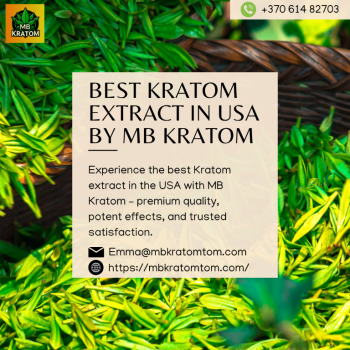 Buy Pure Leaf Kratom in Bulk from MB Kratomtom – Premium Quality, Low Price
