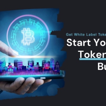 Get a Business-Ready Tokenization Platform From Maticz