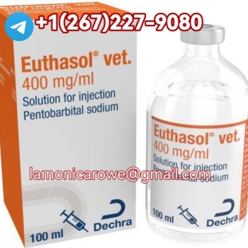 +15673430615.Buy Sodium Pentobarbital Injection In UK