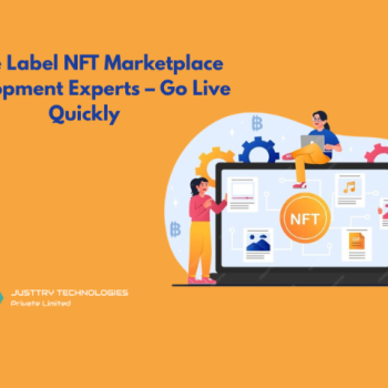 White Label NFT Marketplace Development Experts – Go Live Quickly