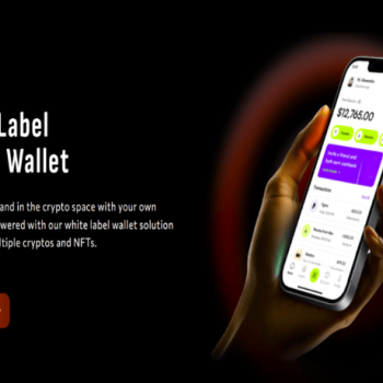 Fast-Track Your Launch with 	Development from Dappfort