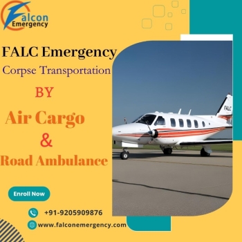 FALC Emergency never left you nervous or waiting throughout the transit in Chennai by air cargo